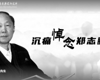 著名粒子物理学家郑志鹏逝世，享年85周岁