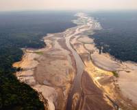 气候大会首次来到亚马孙雨林，卢拉借机展示巴西领导力，“美国缺席也没问题”