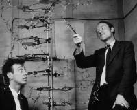 DNA双螺旋结构发现者詹姆斯·沃森去世,享年97岁