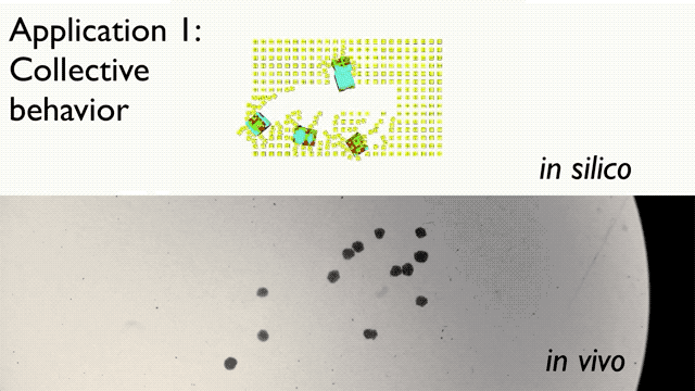 f374.gif