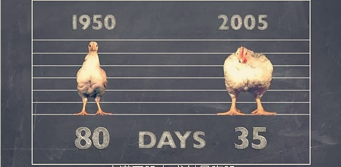 s470.jpeg