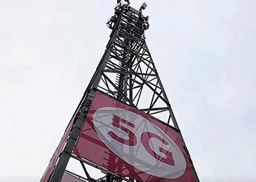 z876.jpg