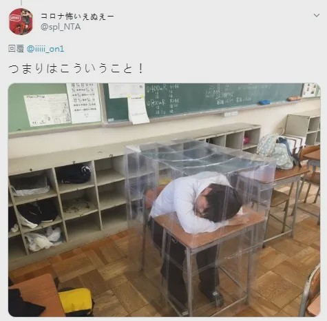 x265.jpeg
