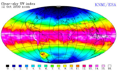 uv.jpg