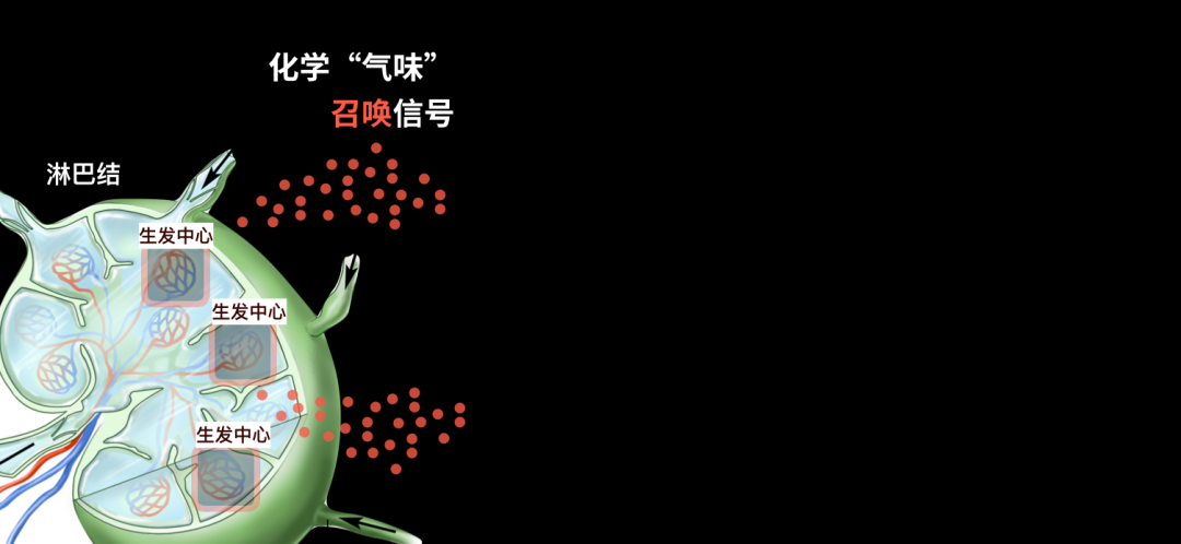 22.png 22.png