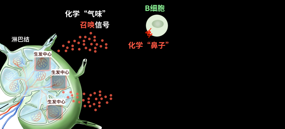 23.png 23.png