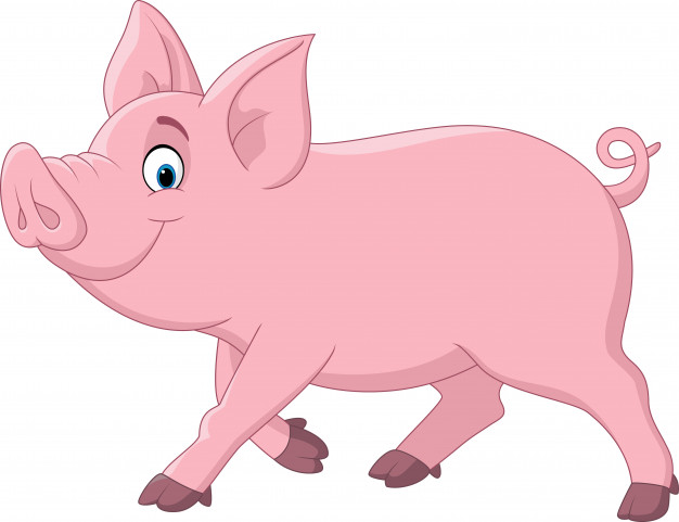 cute-pig-cartoon_29190-274.jpg