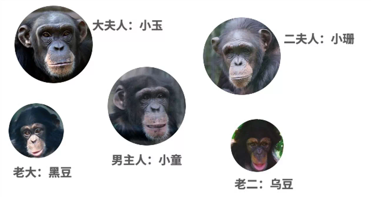 IMG_2607.PNG