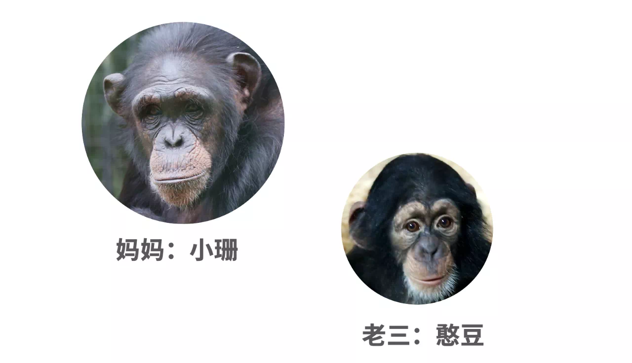 IMG_2611.PNG