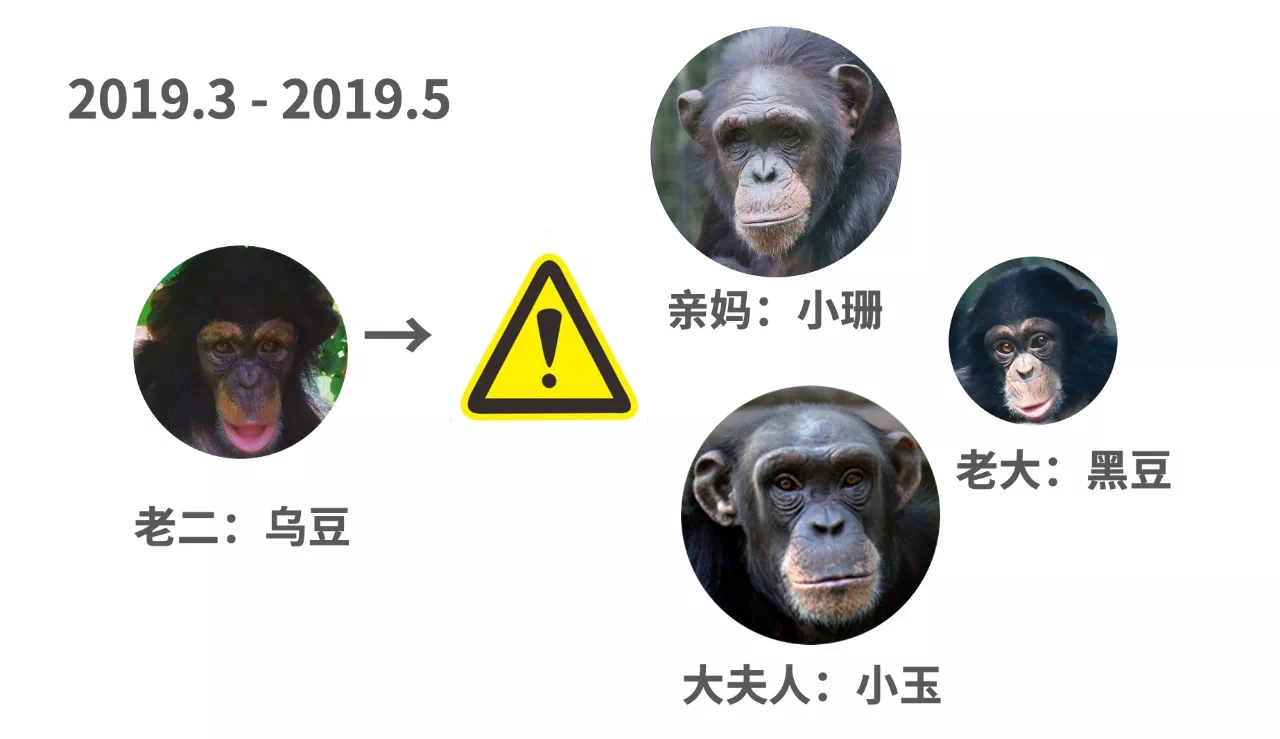 IMG_2612.PNG
