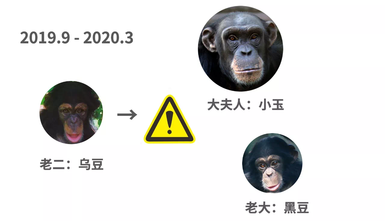 IMG_2613.PNG