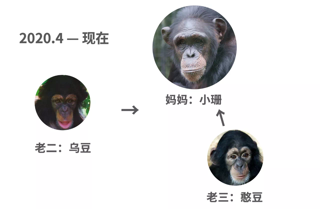 IMG_2614.PNG