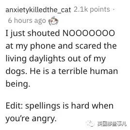 9.jpeg