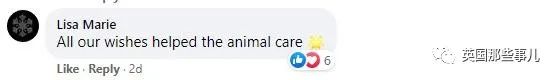 20.jpeg