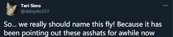 s753.png