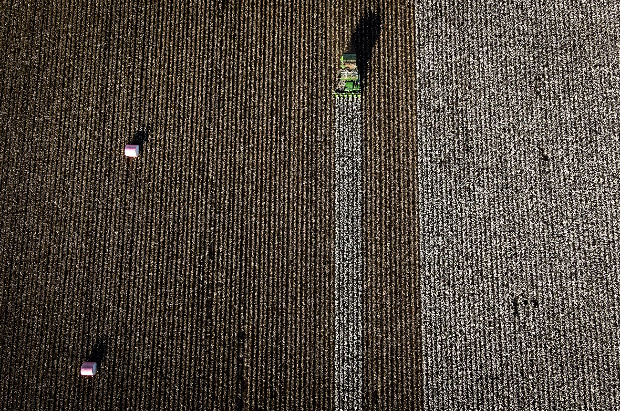 AECFEAC8-A168-4A58-9557-3579D3D6D233.jpeg