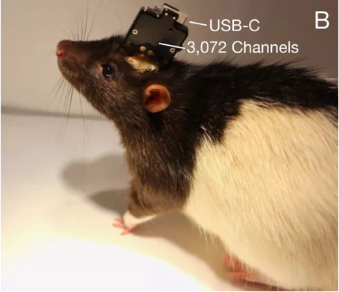 IMG_3911.PNG IMG_3911.PNG