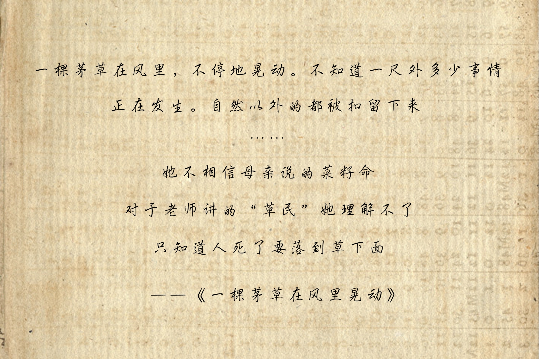 6-compressed.jpg
