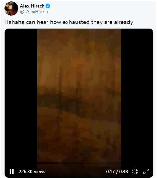 q389.jpg