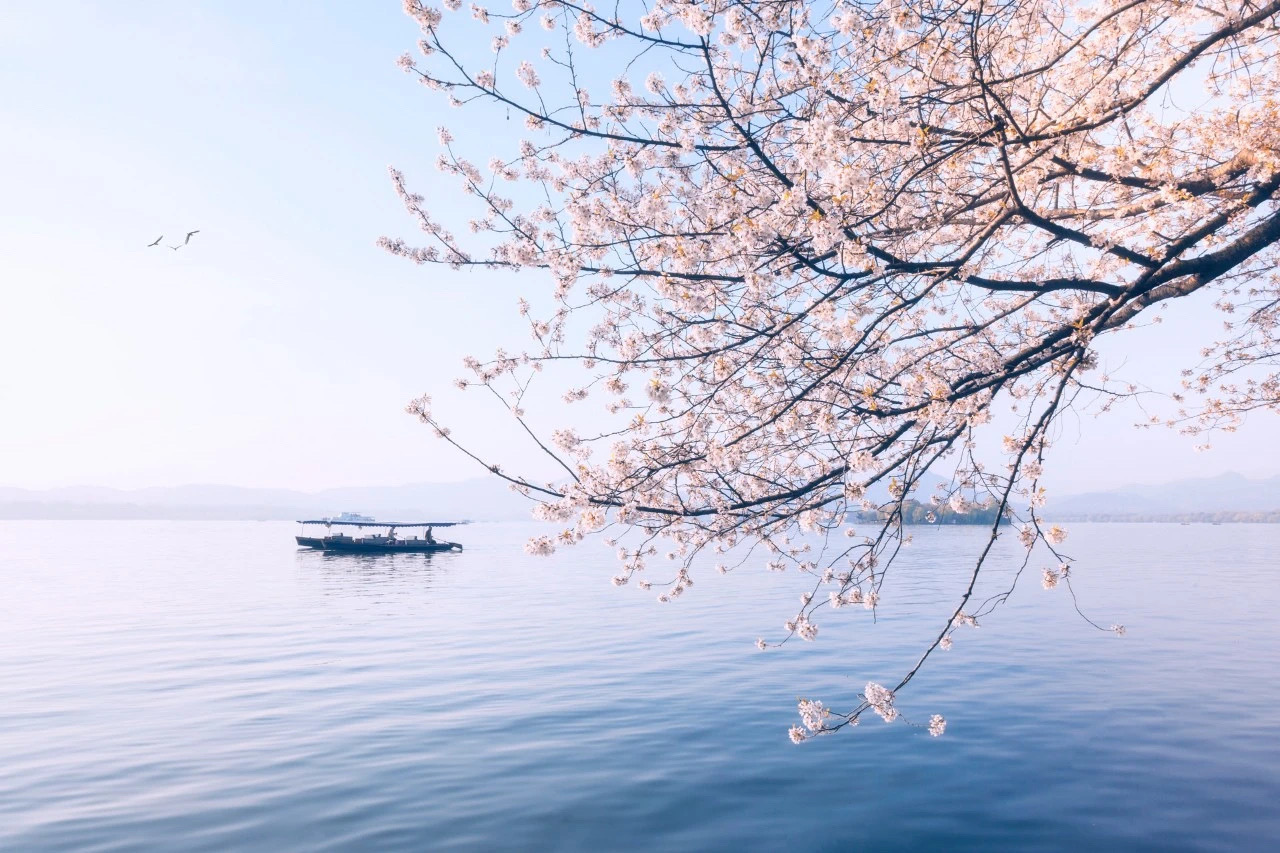 AA903F72-D125-4A91-B356-EF6C51D7DA12.jpeg