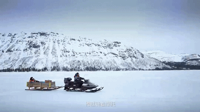 IMG_4442.GIF