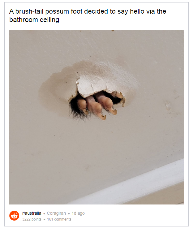 Capture.PNG