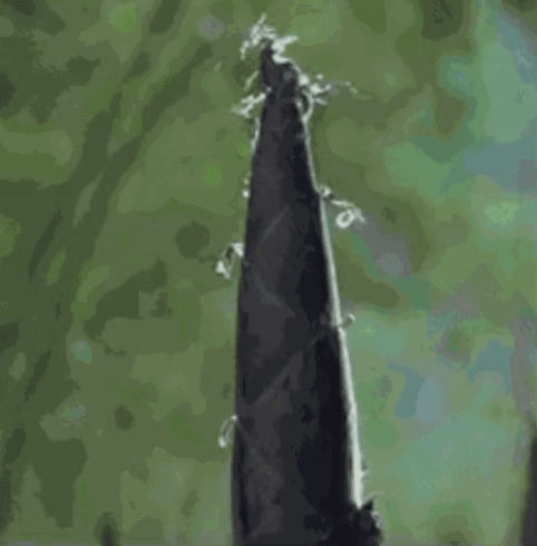 IMG_4684.GIF IMG_4684.GIF