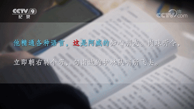 26.gif