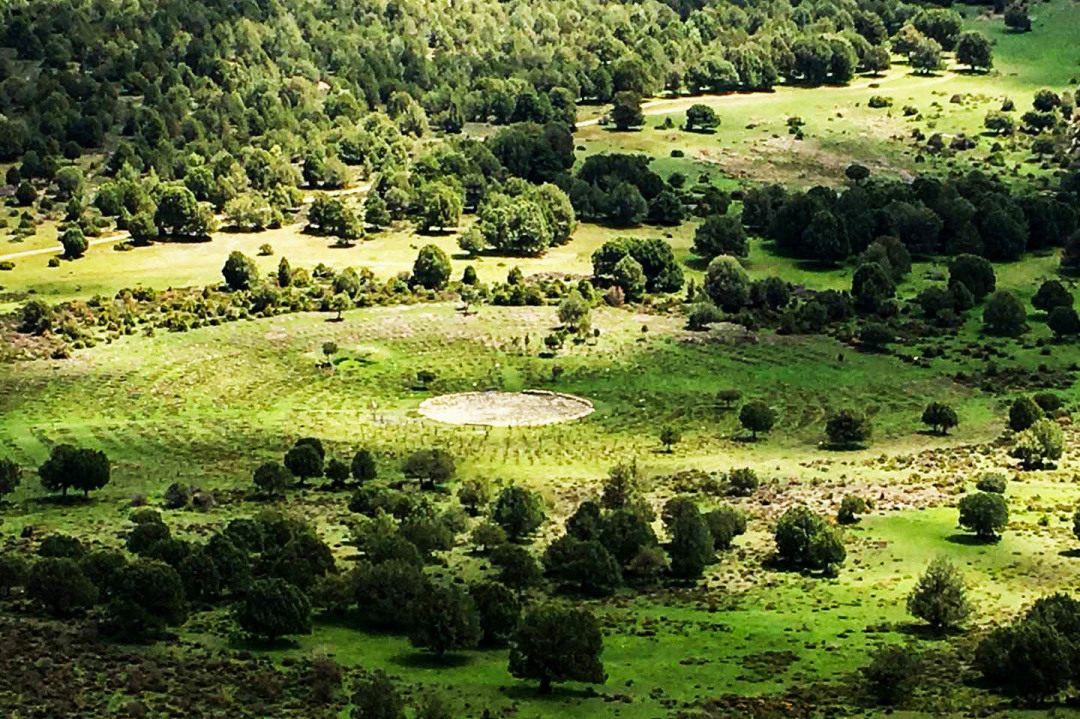 a625.jpg