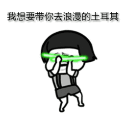 土耳其.gif