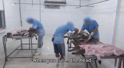 BE4FD776-46B4-47AD-A4CF-BB17FCC0710C.gif