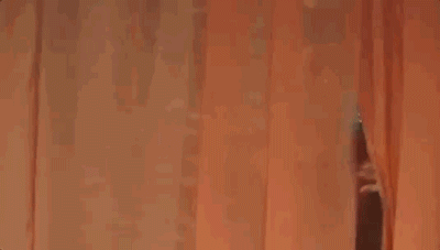 19.gif