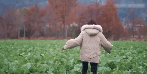20.gif