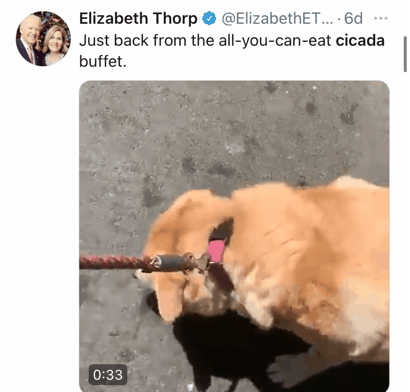 6.gif