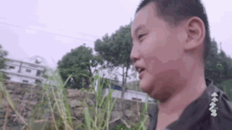 88.gif