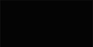 Z97.gif