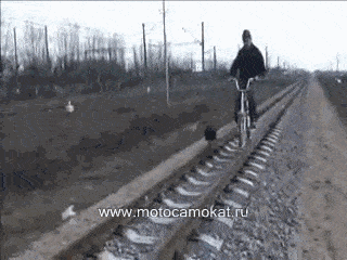 Z115.gif