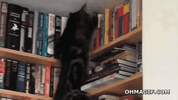 29.gif 29.gif