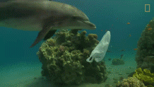 10.gif