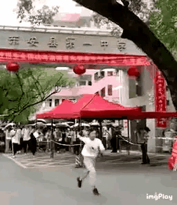 z420.gif