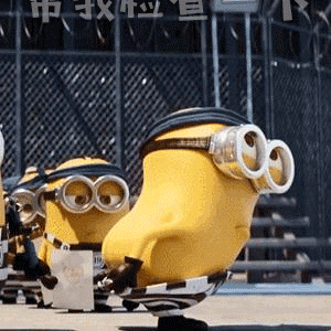 11.gif 11.gif