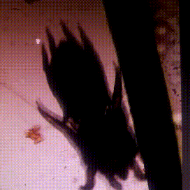 16.gif 16.gif