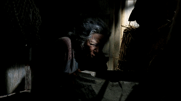 IMG_2154.GIF