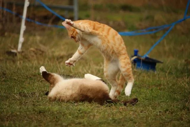 IMG_1930.JPG IMG_1930.JPG