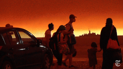 IMG_2224.GIF