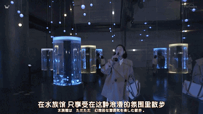 IMG_3773.GIF