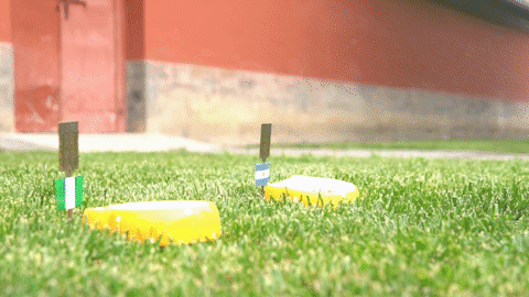 IMG_8289.GIF