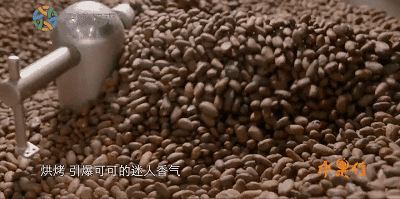 IMG_5284.GIF