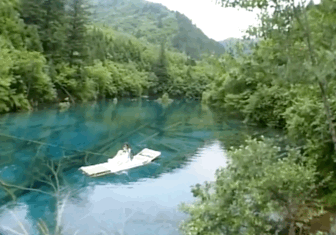IMG_2402.GIF