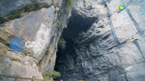 IMG_0988.GIF